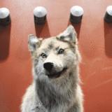 news__2016-09-14-1473829594