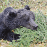 news__2018-07-18-1531891222