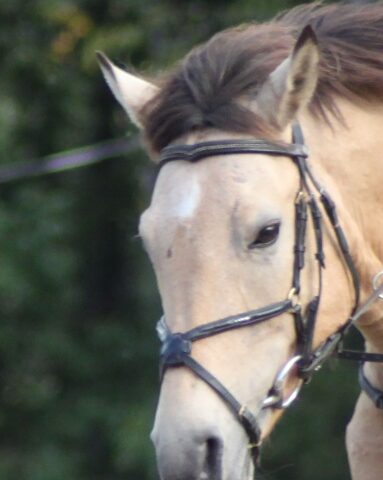 news__2019-06-19-1560914566-1