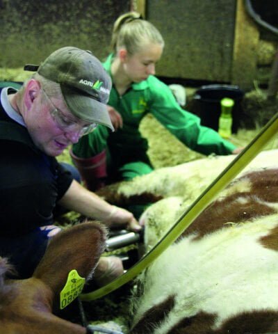 Tossavainen_Ponnistuksen-jalkeen