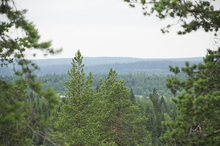 näkymä laelta