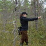 metsä