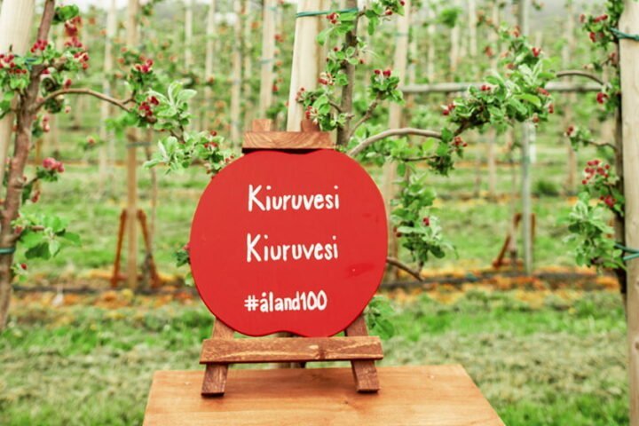 omena kiuruvesi nettiin