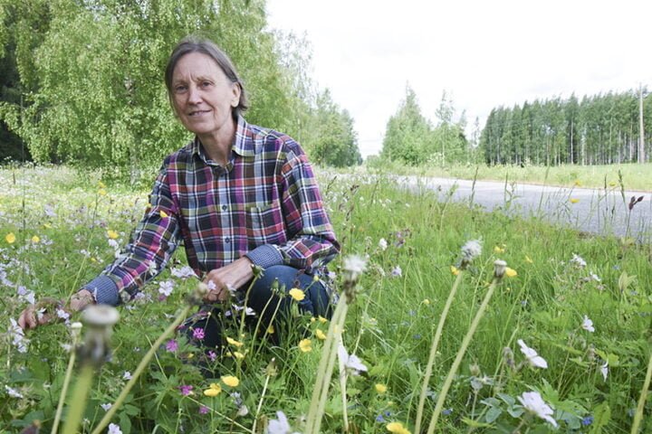 raija häggman nettiin