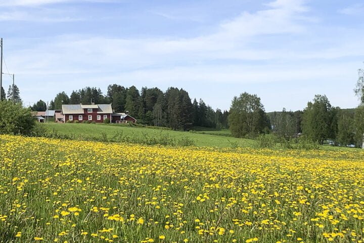 rytkyn maisemaa