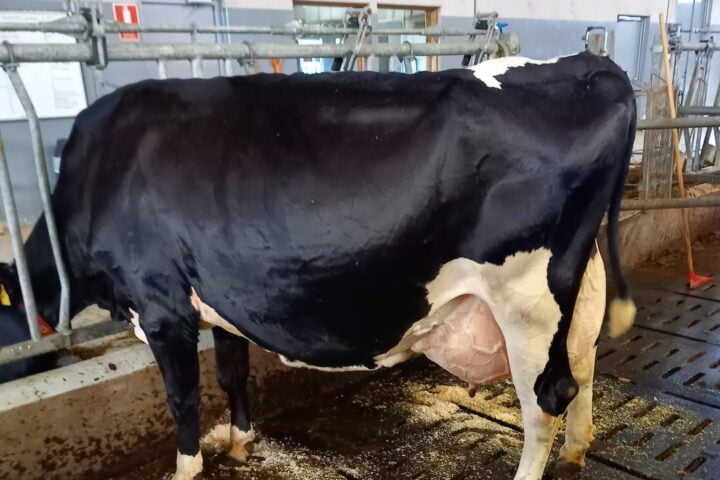 150 Inari sivulta Milkkivei (2)
