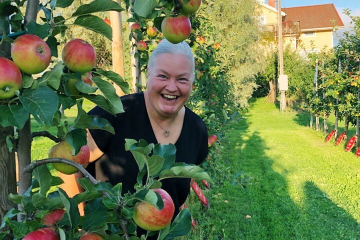 anna alm nettiin