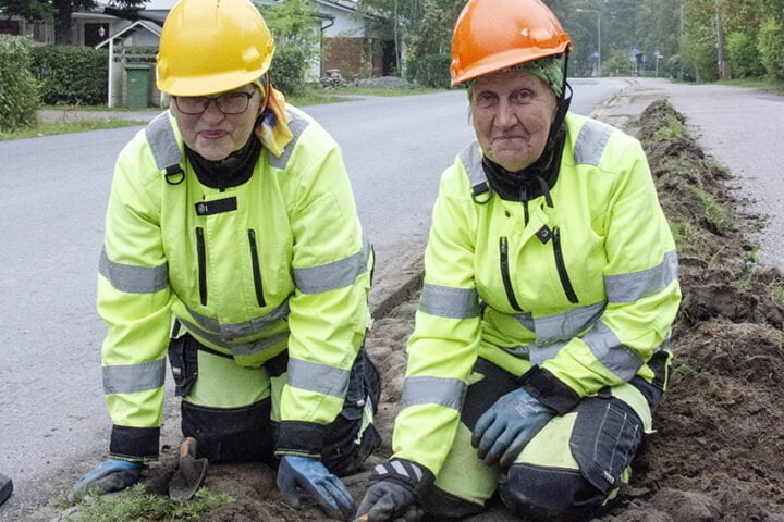 puistotätit nettiin