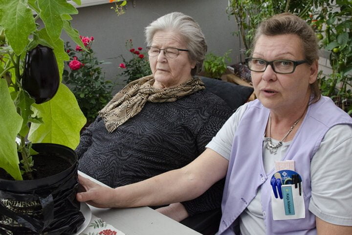 kaija niva nettiin