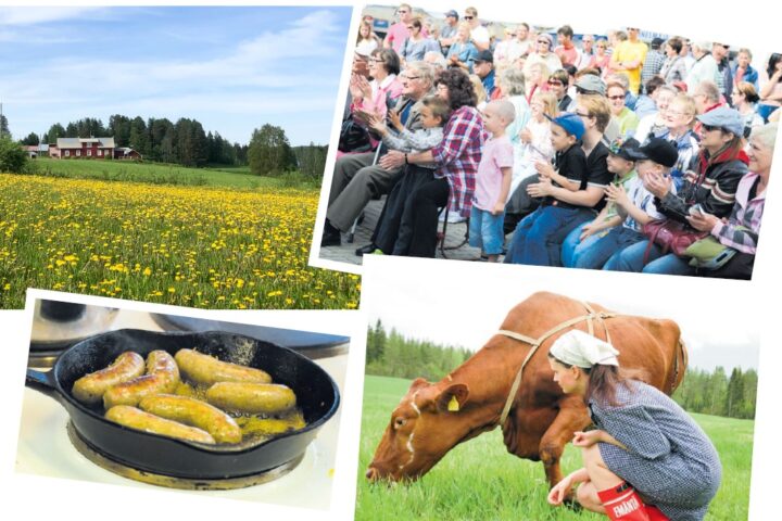 Kuvakollaasi nettiin