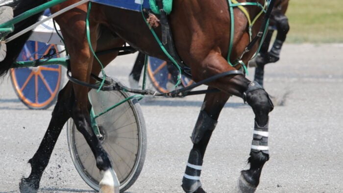 Harness Horse Racing Action