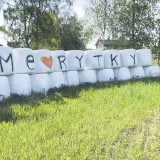 rytky