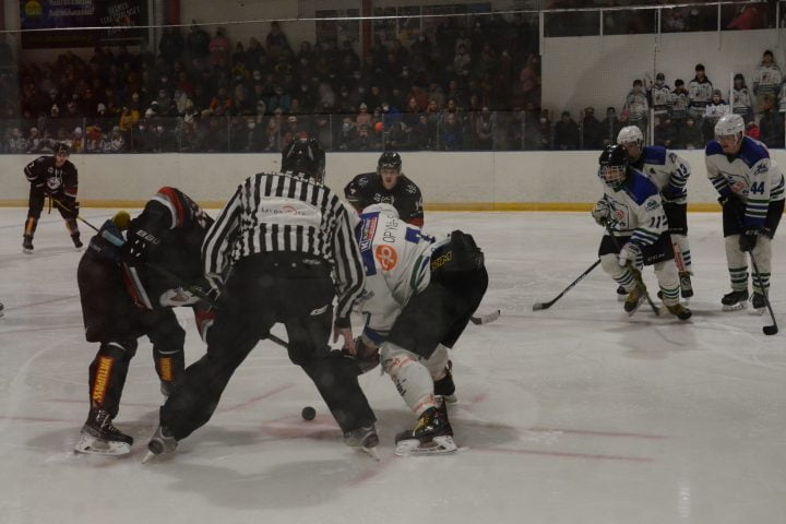 DSC_0201