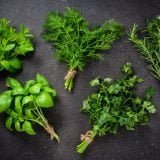 Fresh herbs on dark background