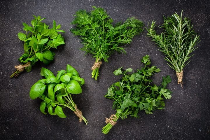 Fresh herbs on dark background