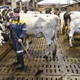 Työelämätaidoissa tärkein tulevaisuudessa on oman itsensä tunteminen. Tämä kuva maatalouslomittajasta on kuvituskuva, eikä liity kirjoitukseen.