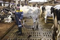 Työelämätaidoissa tärkein tulevaisuudessa on oman itsensä tunteminen. Tämä kuva maatalouslomittajasta on kuvituskuva, eikä liity kirjoitukseen.