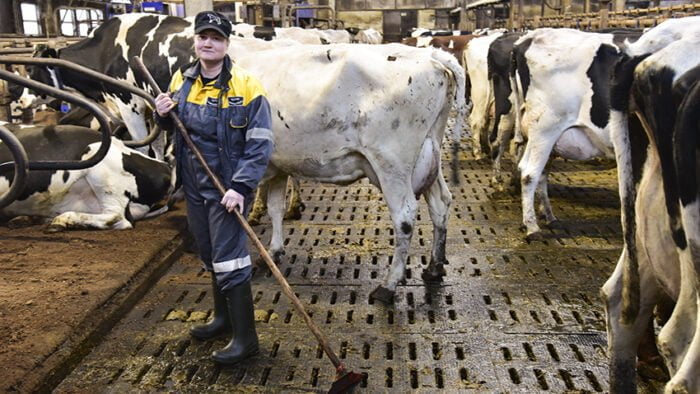Työelämätaidoissa tärkein tulevaisuudessa on oman itsensä tunteminen. Tämä kuva maatalouslomittajasta on kuvituskuva, eikä liity kirjoitukseen.
