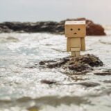 Danbo danboard box holding a flower with sad face. Danbo first a