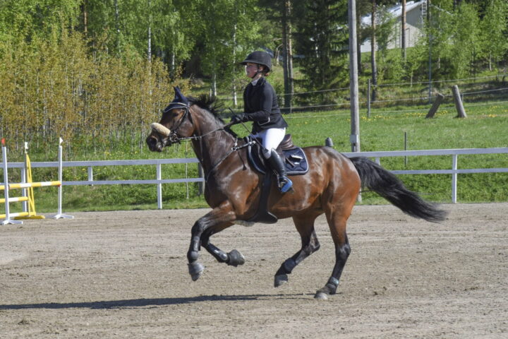 hingunniemi jenni anttila ja dolly jumper nettiin
