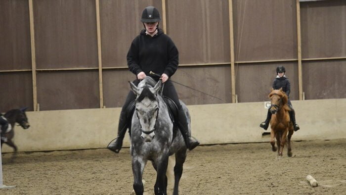 hirvijärvi ratsutalli hevonen verkkoon