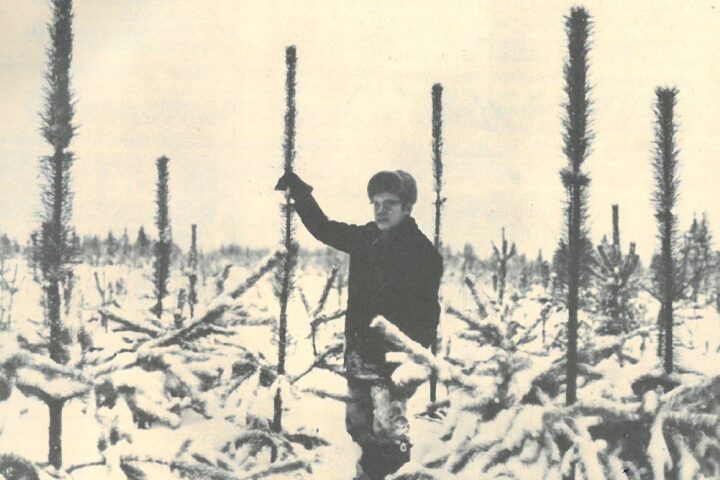 Vanha kuva metsäteknikko Pauli Kumpulainen 1974
