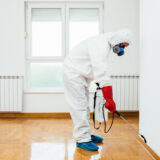 Exterminator in work wear spraying pesticide or insecticide with sprayer