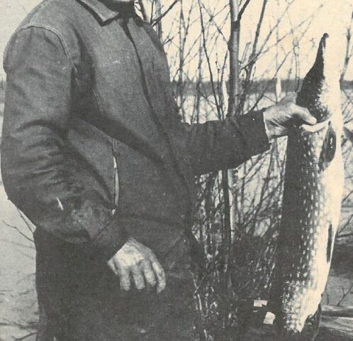 Vanha kuva vuosi 1974 Alfred Väisänen hauki kalastus mäti