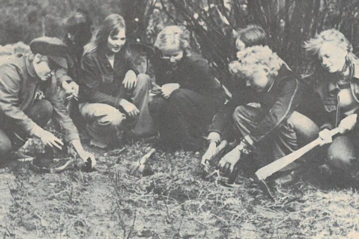 Vanha kuva vuosi 1974 Kiuruvesi koivuntaimien istutus 4H-kerho