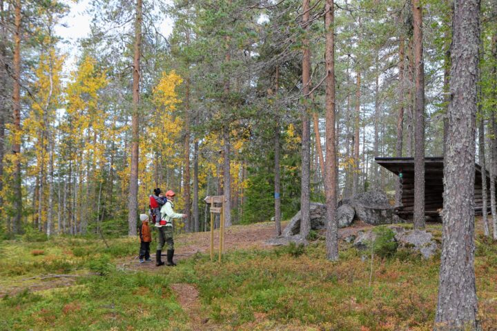 paljakanvuoren_luontopolku_kuvaaja_heidi_huhtilainen_kesalehti
