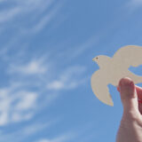 Hands holding white dove bird on blue cirrus cloud sky backgroun