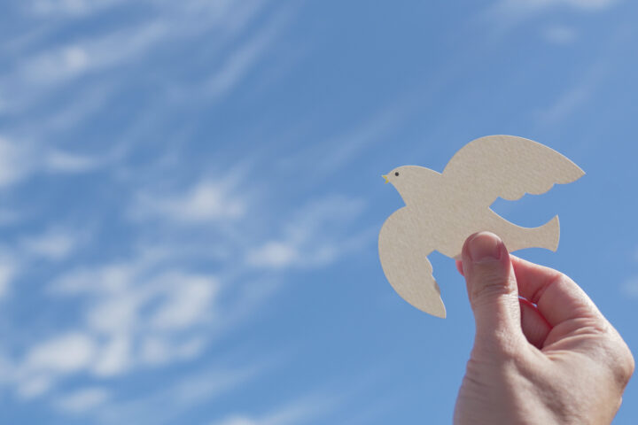 Hands holding white dove bird on blue cirrus cloud sky backgroun