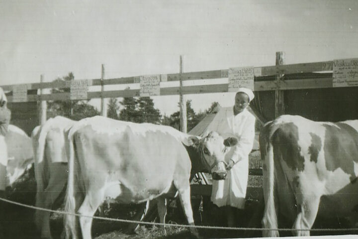 Puolakan-Ilma-maatalousnäyttelyssä-1951 some