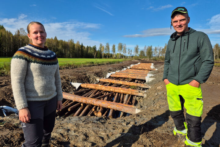 teija_rantala_jukka_vaatainen_toivaisjarvi_kosteikko_netti