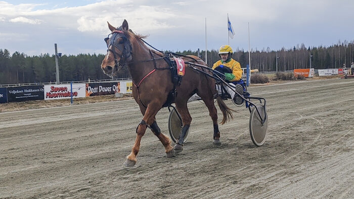 Kiuruveden hevosystäväinseuran paikallisravit Harlamov ja Timo Mäkäräinen (kuvaaja Hanne Humaloja-Mämmi)_nettiin