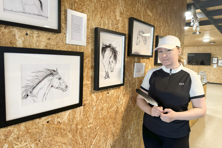 Tiina Tiikkainen taidenäyttely kuva- ja sanataide Ratsastuskeskus Lupis_käsitelty