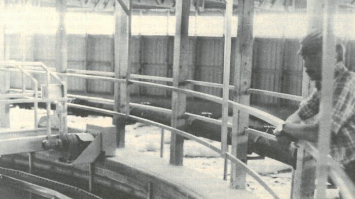 Vanha kuva Kiuruvesi-lehti vuosi 1975 jätevesipuhdistamo