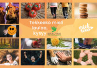 Kiuruveden kansikuva