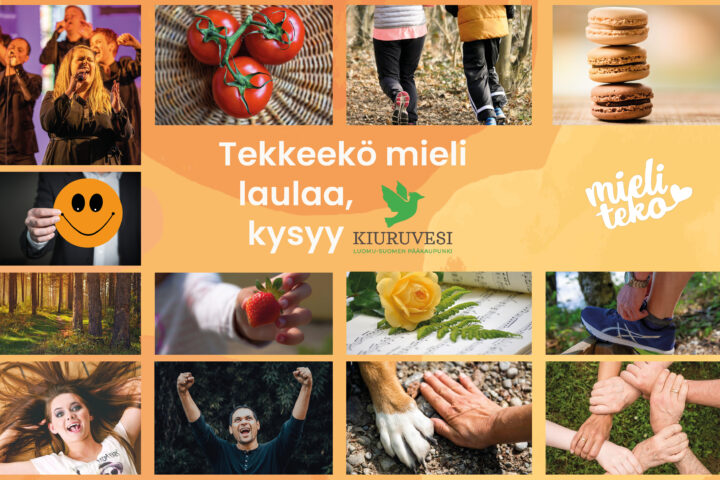 Kiuruveden kansikuva