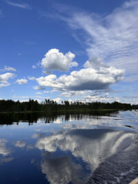 järvi