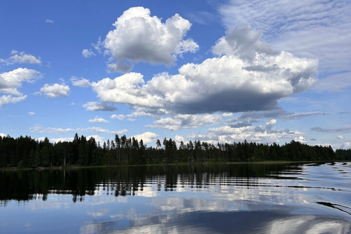 järvi