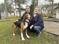 Korpikelon Kaiku eli Jaro ajokoirien Pohjois-Savon piirinmestari sekä omistajat Janne ja Nina Kattainen_käsitelty