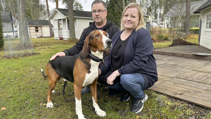 Korpikelon Kaiku eli Jaro ajokoirien Pohjois-Savon piirinmestari sekä omistajat Janne ja Nina Kattainen_käsitelty