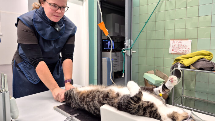 klinikkaelaintenhoitaja_aino_tolonen_netti