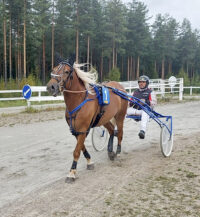 Sami Mykkänen ja ravihevonen_käsitelty (kuvaaja Jukka Kemiläinen)