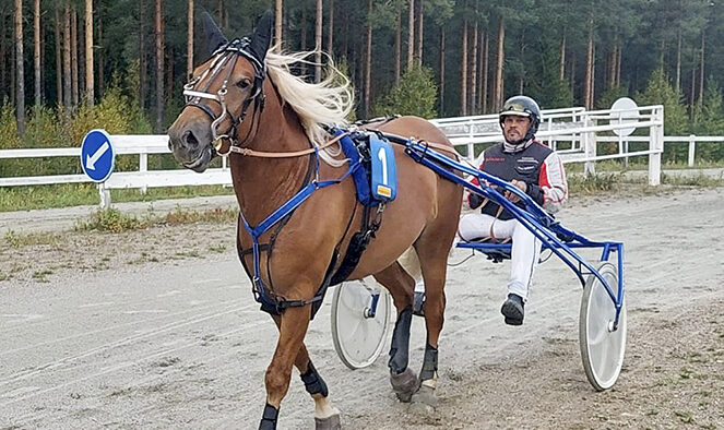 Sami Mykkänen ja ravihevonen_käsitelty (kuvaaja Jukka Kemiläinen)