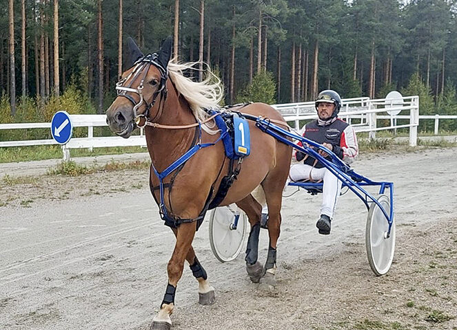 Sami Mykkänen ja ravihevonen_käsitelty (kuvaaja Jukka Kemiläinen)