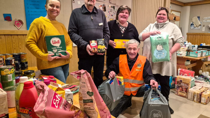 auta_lasta_auta_perhetta_leijonat_netti