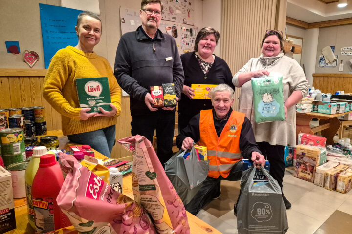 auta_lasta_auta_perhetta_leijonat_netti