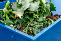 biojate_kuvaaja_adobe_stock_netti